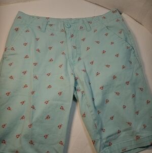 𝅺CARBON Freedom Flex Shorts Men's 28